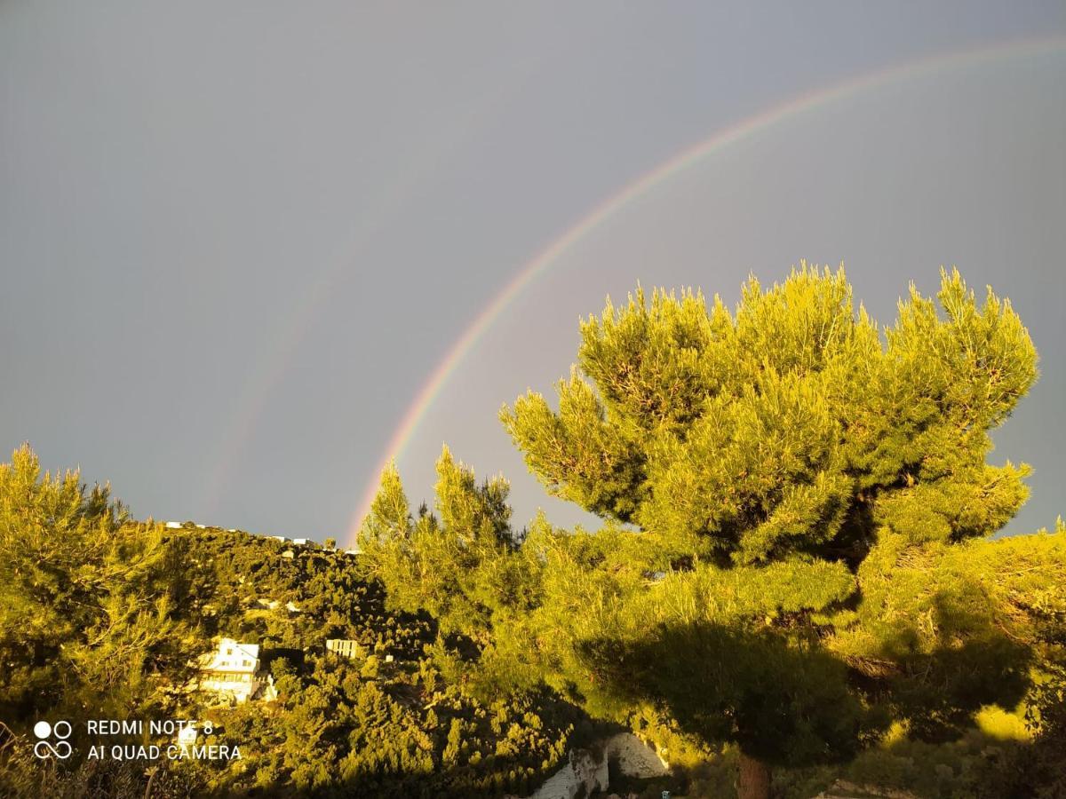 Volver Bed & Breakfast Peschici