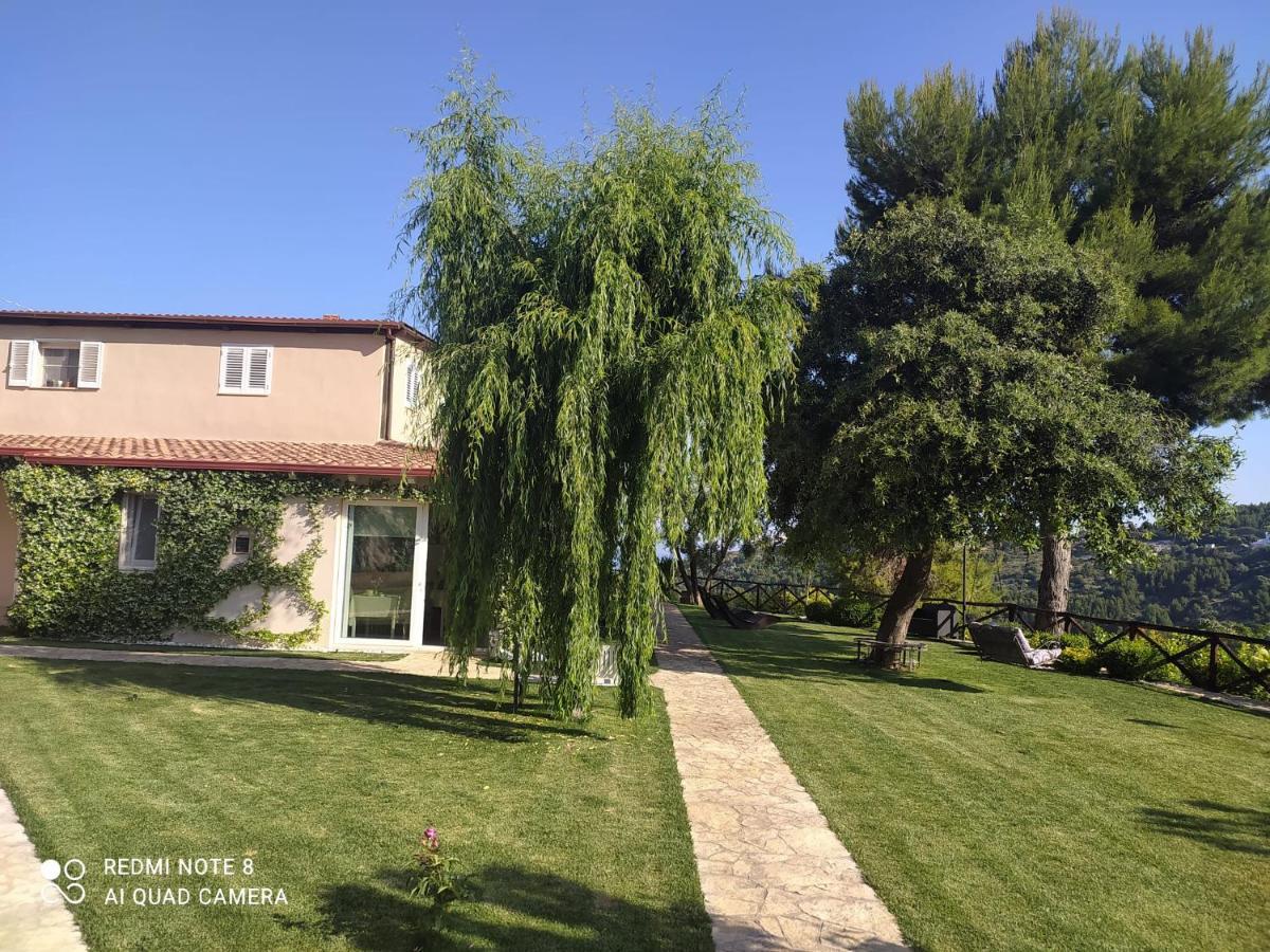 Volver Bed & Breakfast
